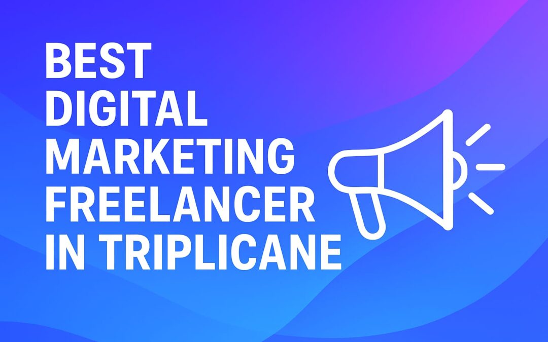 best-digital-marketing-freelancer-in-triplicane
